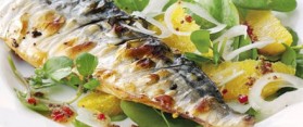 Mackerel Orange and Parsley Salad Recipe