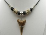 Shark Tooth Necklace