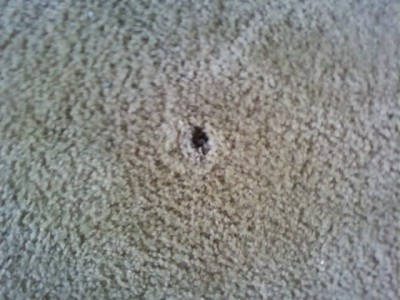 How to Repair Cigarette Burns in Carpet How to Repair Cigarette Burns in Carpet