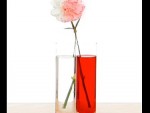 Create Double Color Flower