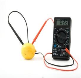Fruit Battery Science