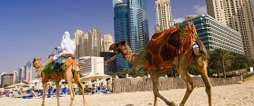 Hotels near Jumeirah Beach Dubai Overview