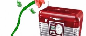 Music Player with Plant