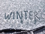 Winter Shield