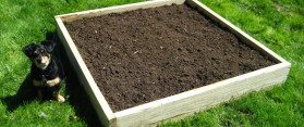 Earthworms in your garden