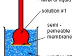 Osmosis Project