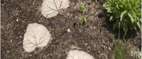 make Leaf Shaped Stepping Stones