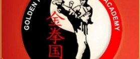 Golden Fist Karate Centre Dubai Overview