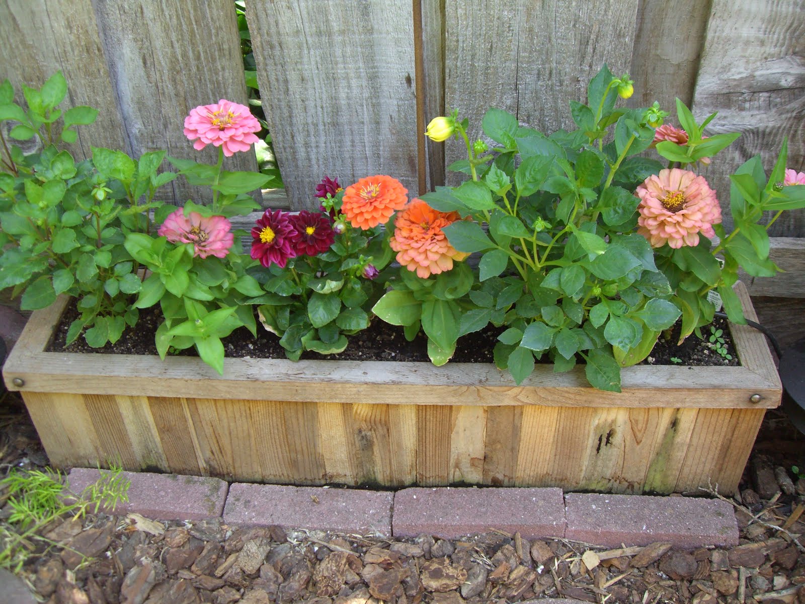 How To Build A Planter Box | Apps Directories
