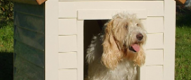 Dog House