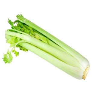 Celery Stalk