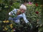 Care for a Neighbor's Garden