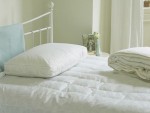 Allergy Bedding