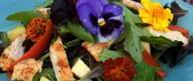 Real Edible Flowers Salad