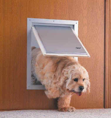 How-to-Install-a-Doggie-Door-in-a-Wall2.