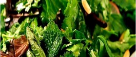 Herb Salad