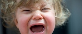 Toddler