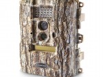Trail Camera