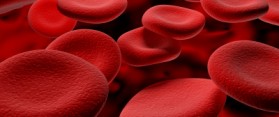 How to get rid of Anemia