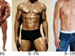 body fat