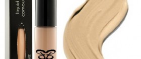 Blend In Liquid Concealer
