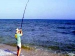 Catch a Fish