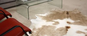 Room decorated with Cowhide Rug