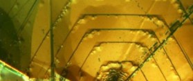 Construct a Golden Rectangle