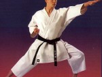 Earn Belts in Karate