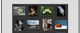 Photo Galleries