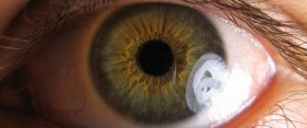 Blind Spot