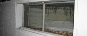 Window