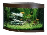 Wood at the bottom of an Aquarium