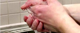 Wash your hands regularly