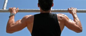 muscle