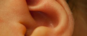 Ear