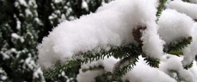 How to Make Fake Snow from Soap