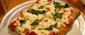 Flatbread pizza served in plate