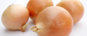 Average sized onions