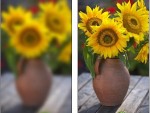 Blurred Image