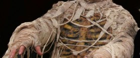 Mummy Costume