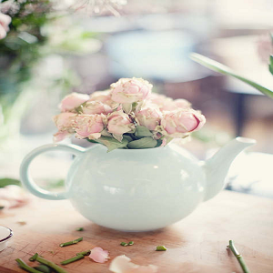flowers in teapot 