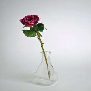 rose in glass bottle 