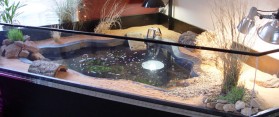 Make an Indoor Fish Pond