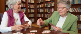 Nertz Card Game