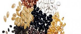 How to Save Fruit Seeds for Gardening