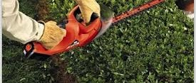 Hedge Trimmer