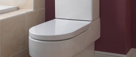 Toilet seat