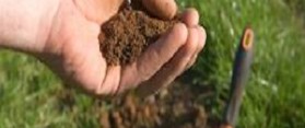 Clay Soil