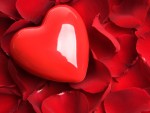 make valentine's day romantic with rose petals